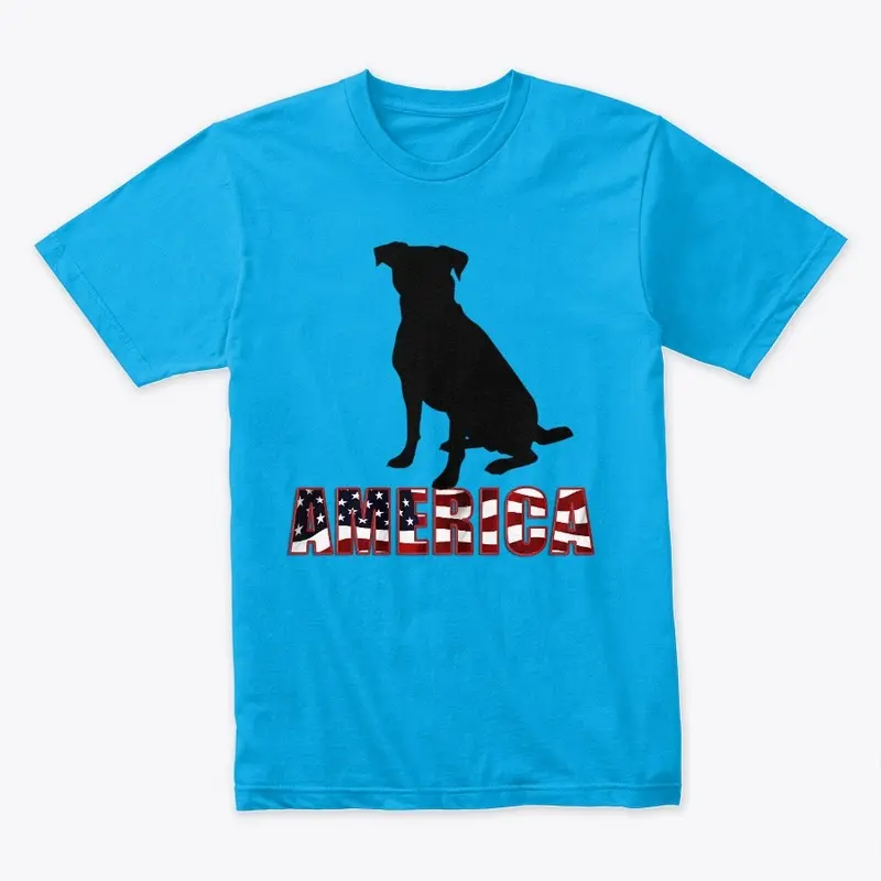 American Dog